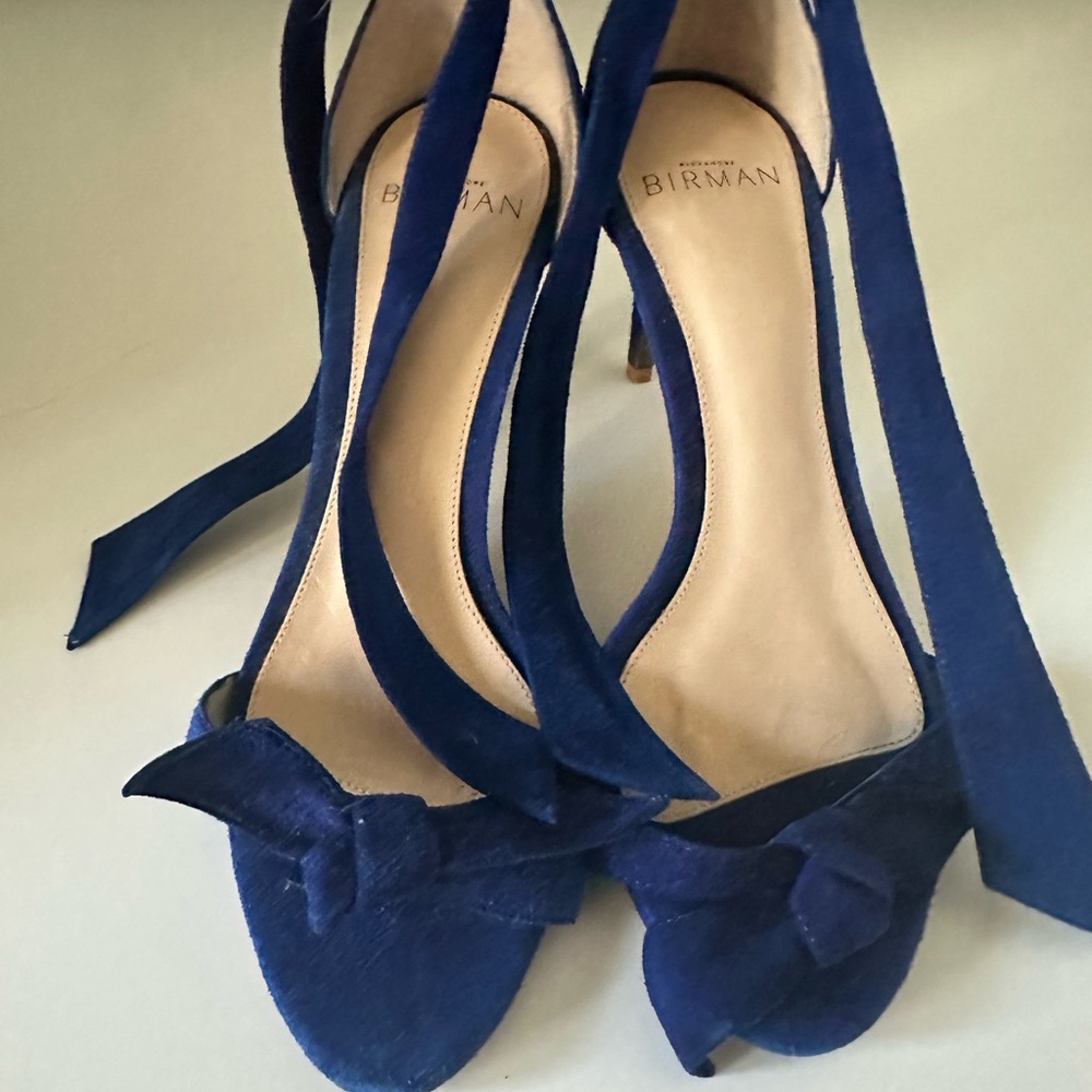 Alexandre Birman Navy Velvet Heels